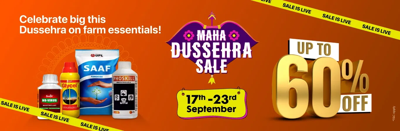 MDS'25 Sale I Sale is Live Image 1