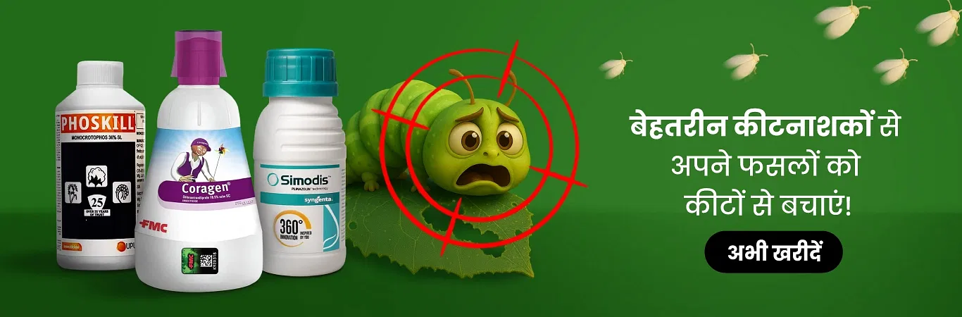 Insecticides Image 2