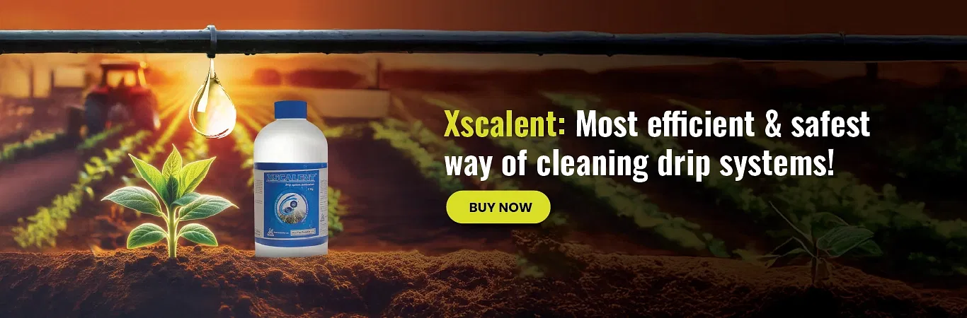 Excel Xscalent Image 4