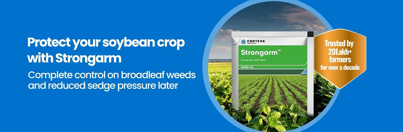 Corteva Storngarm Herbicide Image 4