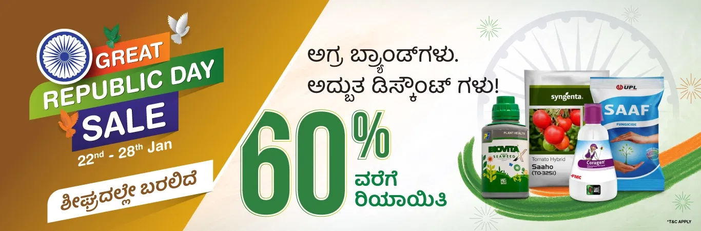 Home Banner 0 Image 4