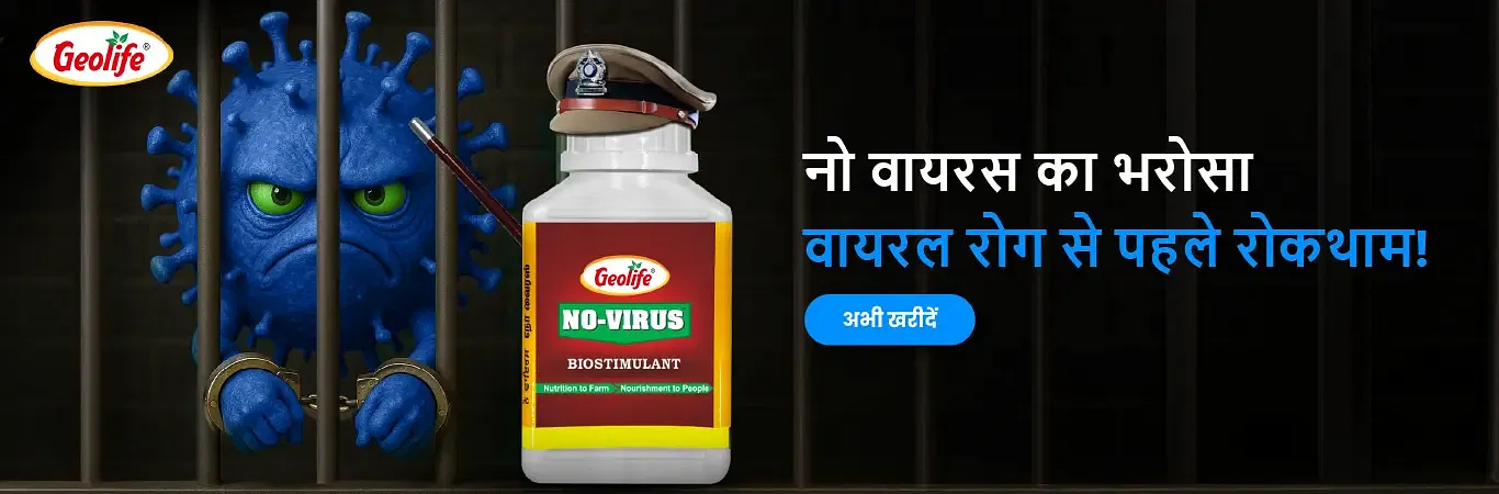 Geolife No Virus Image 1