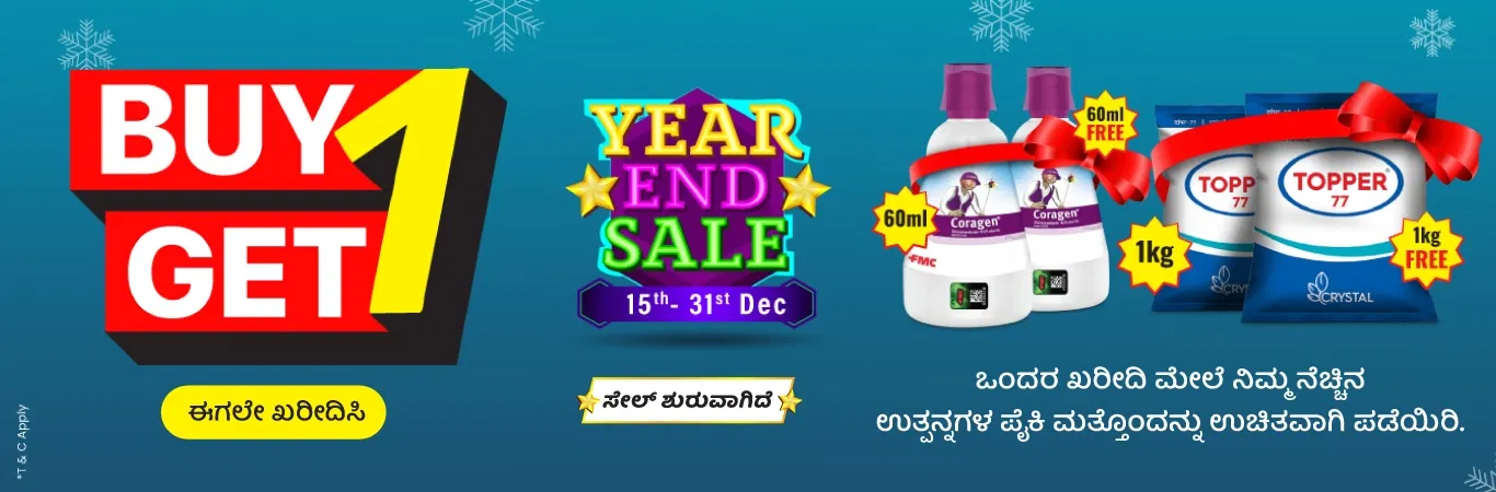 YES'25 Sale I B1G1 Collection Image 3