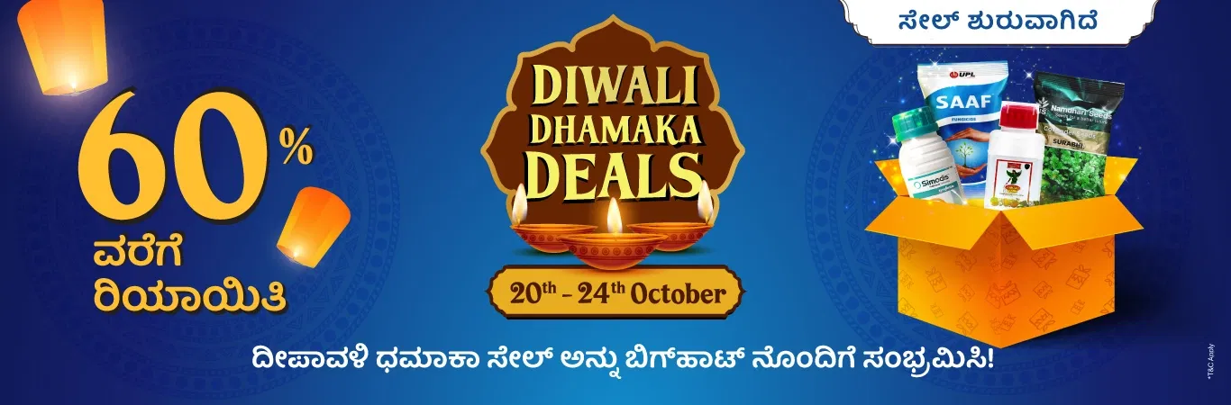 DDD'25 Sale I Sale is Live Image 1
