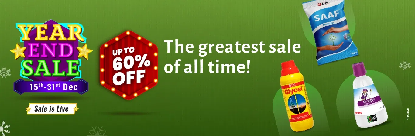 YES'25 Sale I Sale is Live V2 Image 1