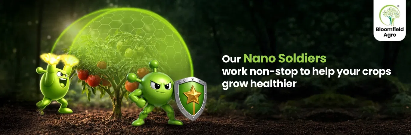 Bloomfield_Products Image 2