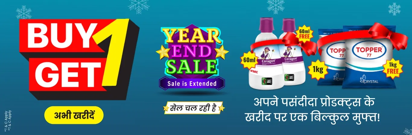 YES'25 Sale I B1G1 Collection Image 2