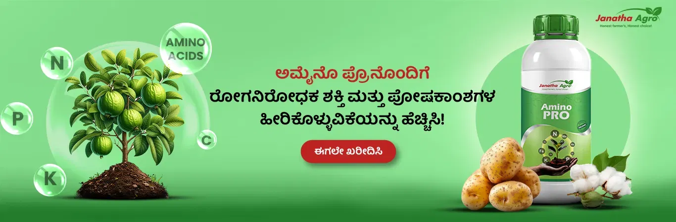 Janatha Amino Pro Image 2
