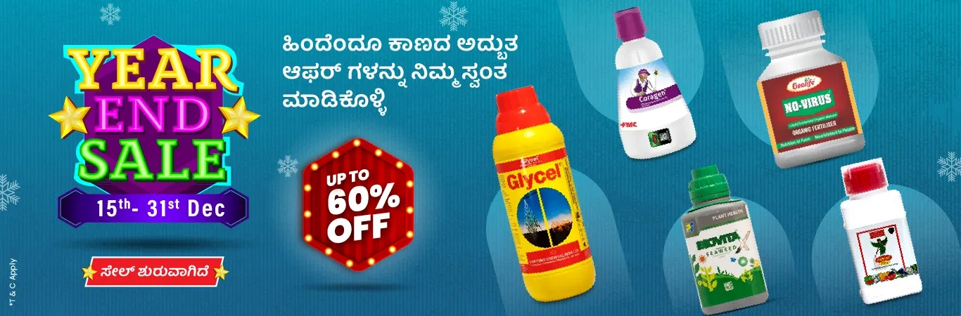 YES'25 Sale I Sale is Live Image 1