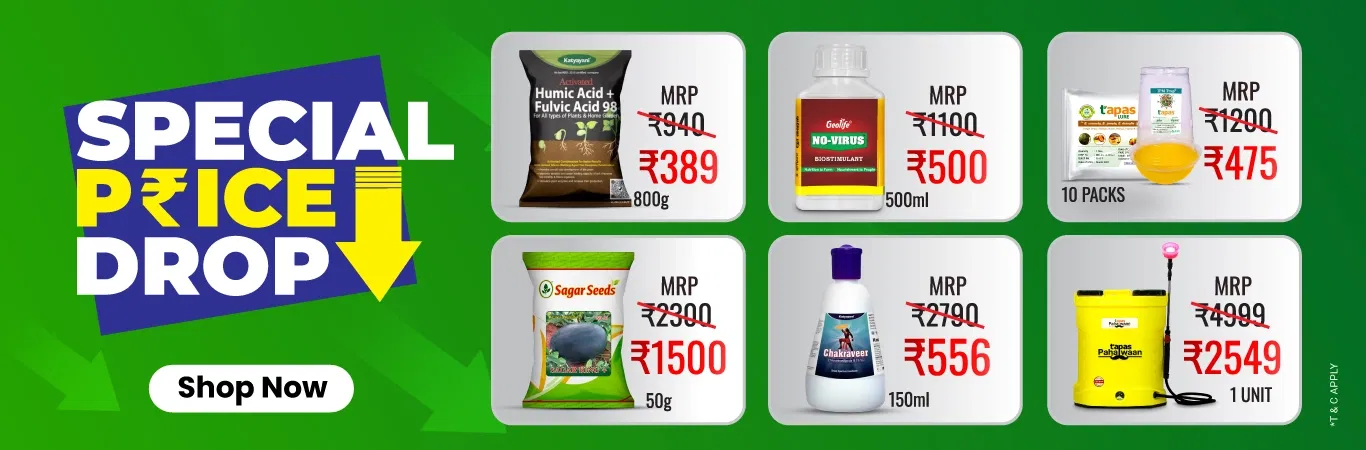 Special Price Drop Image 2