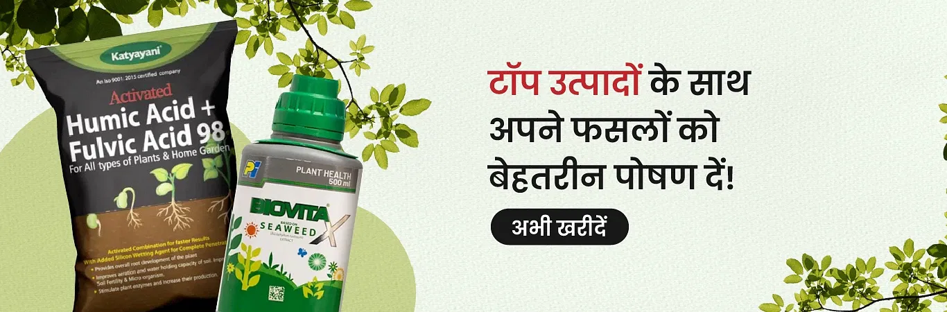 Plant Nutrition Image 2