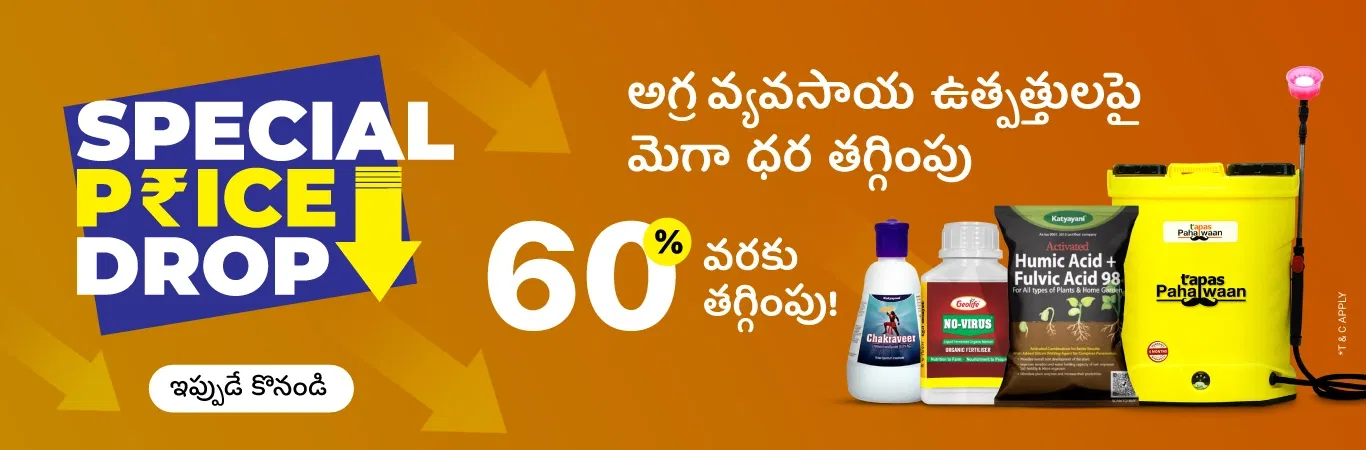 SPD'25 Sale I Generic Image 1