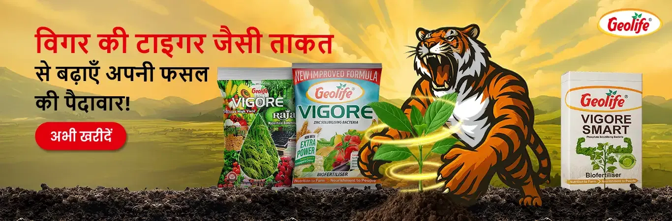 Geolife Bio Fertilizers V3 Image 3