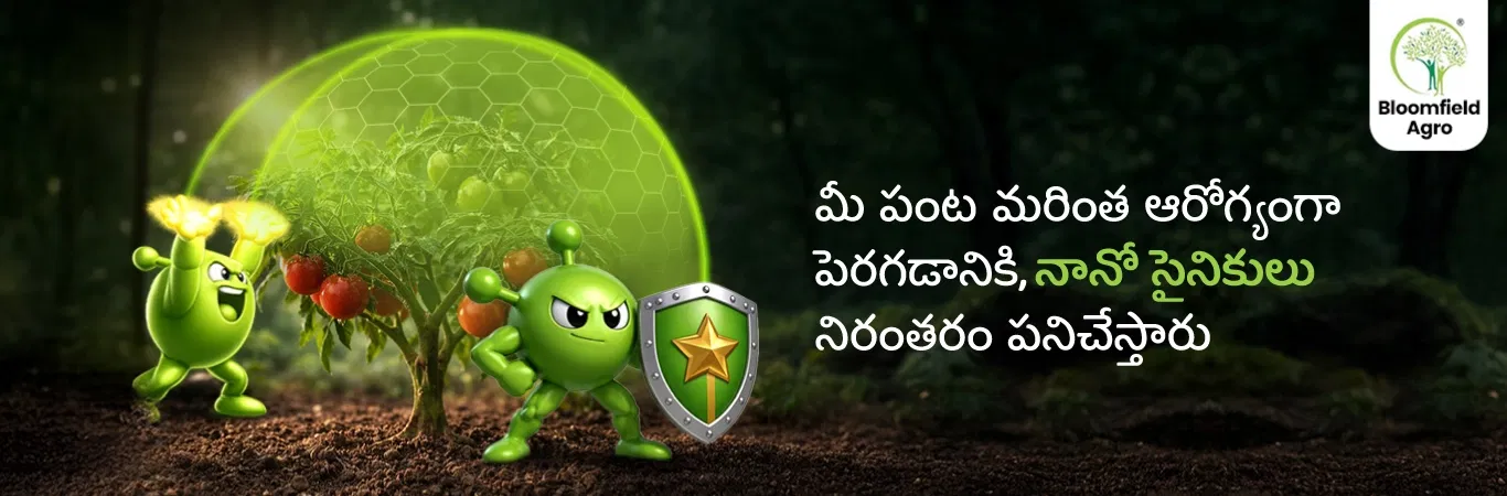 Bloomfield_Products Image 1