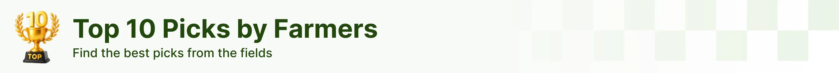 topProductsBanner