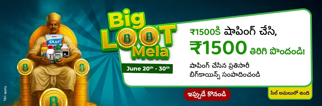 Big Loot Mela I Sale is Live Image 1