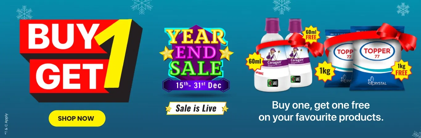 YES'25 Sale I B1G1 Collection Image 3