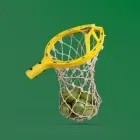 Mango Crop Needs Image