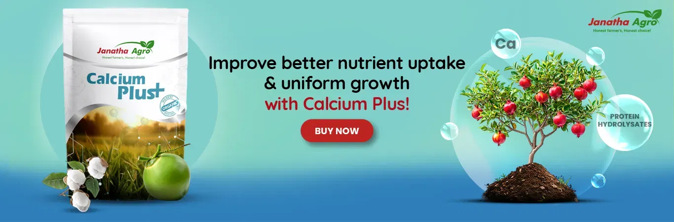 Janatha Calcium Plus Image 4