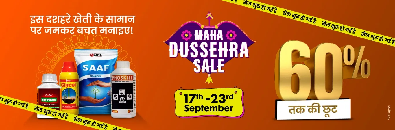 MDS'25 Sale I Sale is Live Image 1