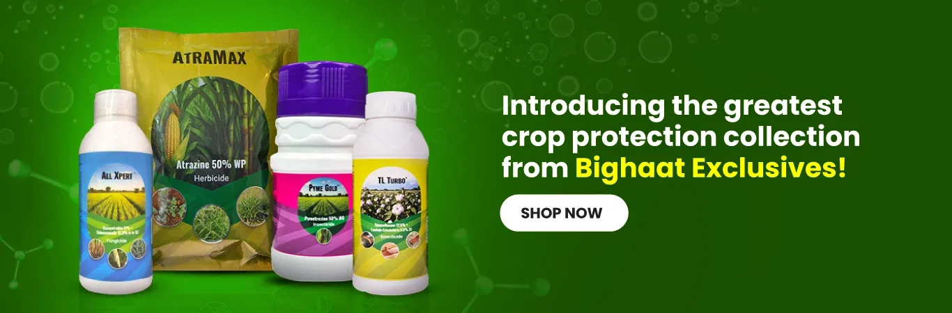 Bighaat Exclusives Image 2