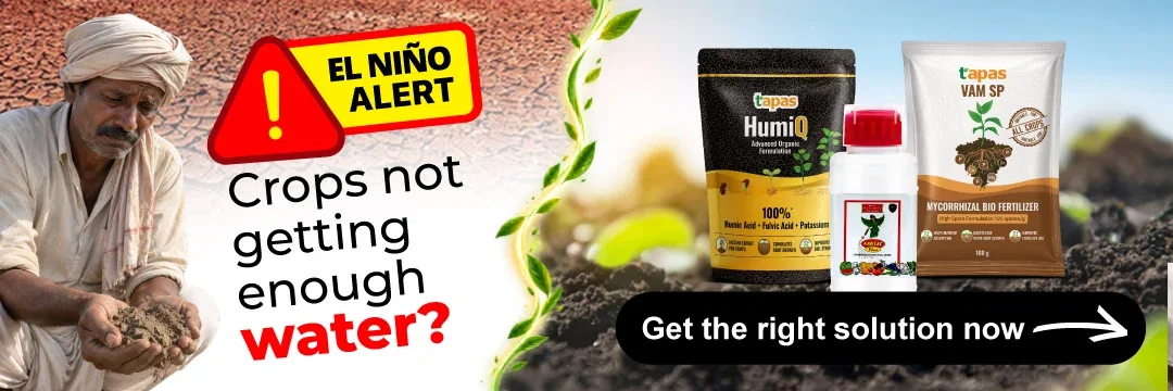 El-nino Heat Stress management & solutions