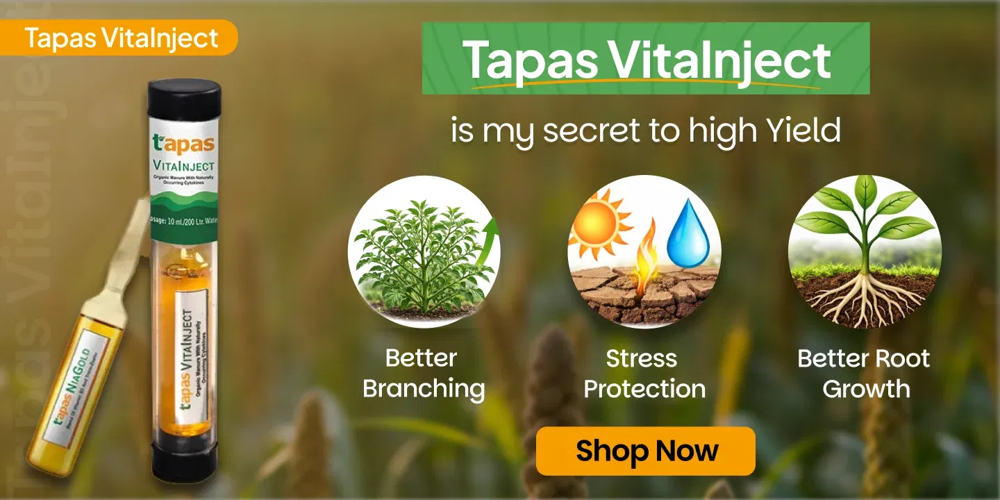 pdpProductPromoBanner