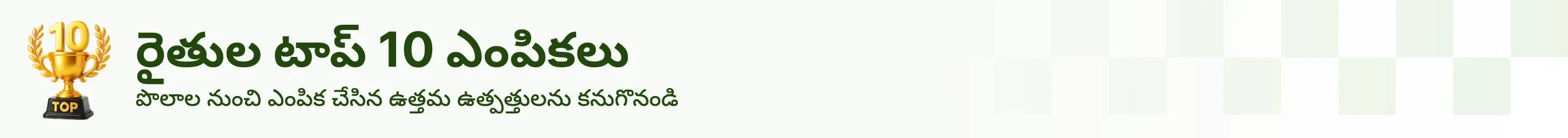 topProductsBanner
