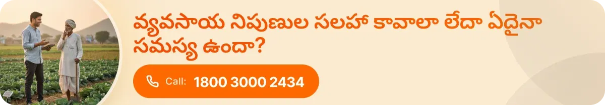 agri-expert advice
